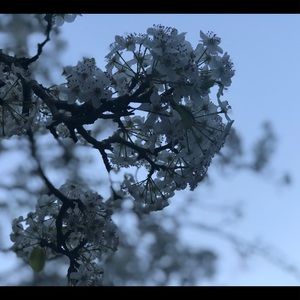 Meet your Posher, Cristian